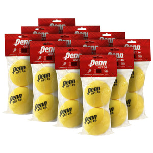 Penn QST 36 Foam - Tennis Ball Case