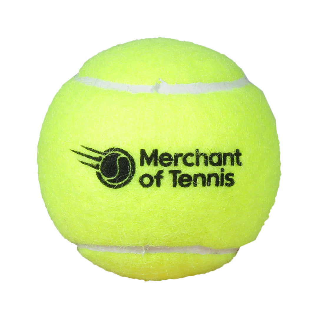 Dunlop ATP Championship - Extra Duty - MOT Logo Ball - Tennis Ball Can