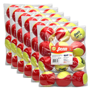Penn QST 36 - Tennis Ball Case